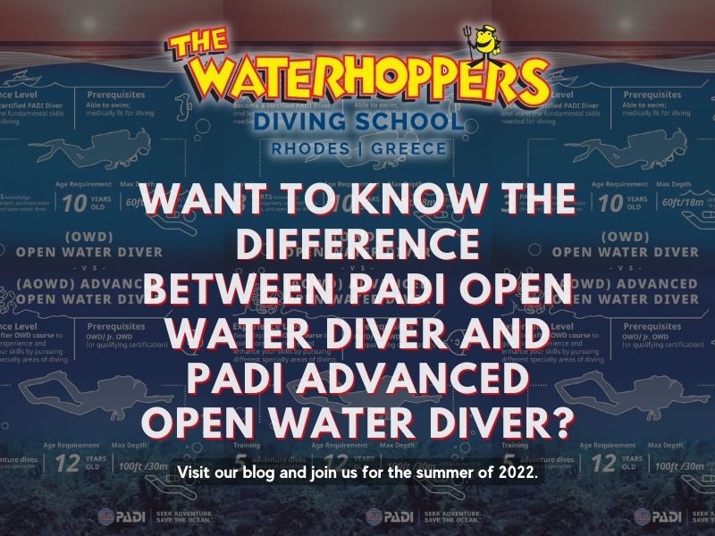 Want to know the difference between PADI Open Water Diver and PADI Advanced Open Water Diver